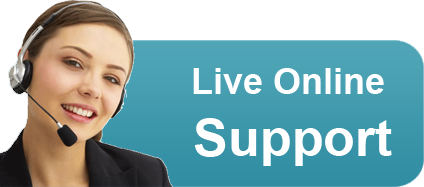 Online Customer Support